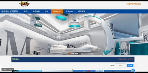 基于Java的寵物醫(yī)院管理系統(tǒng)設計與實現