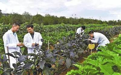 理性看待農(nóng)業(yè)投資熱 警惕“熱投資、冷農(nóng)民”現(xiàn)象