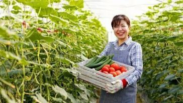 探秘九豐現代農業博覽園 農業投資的未來之窗