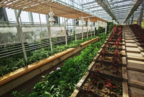 交出亮眼答卷 4.85億投入激活大同現代農業示范區新引擎